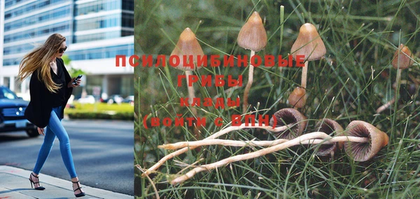 эйфоретик Абаза