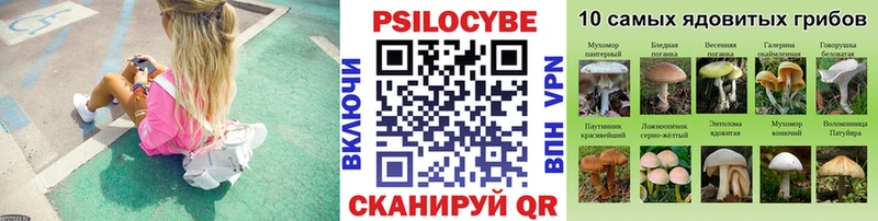 OMG зеркало  Тимашёвск  Псилоцибиновые грибы MAGIC MUSHROOMS 